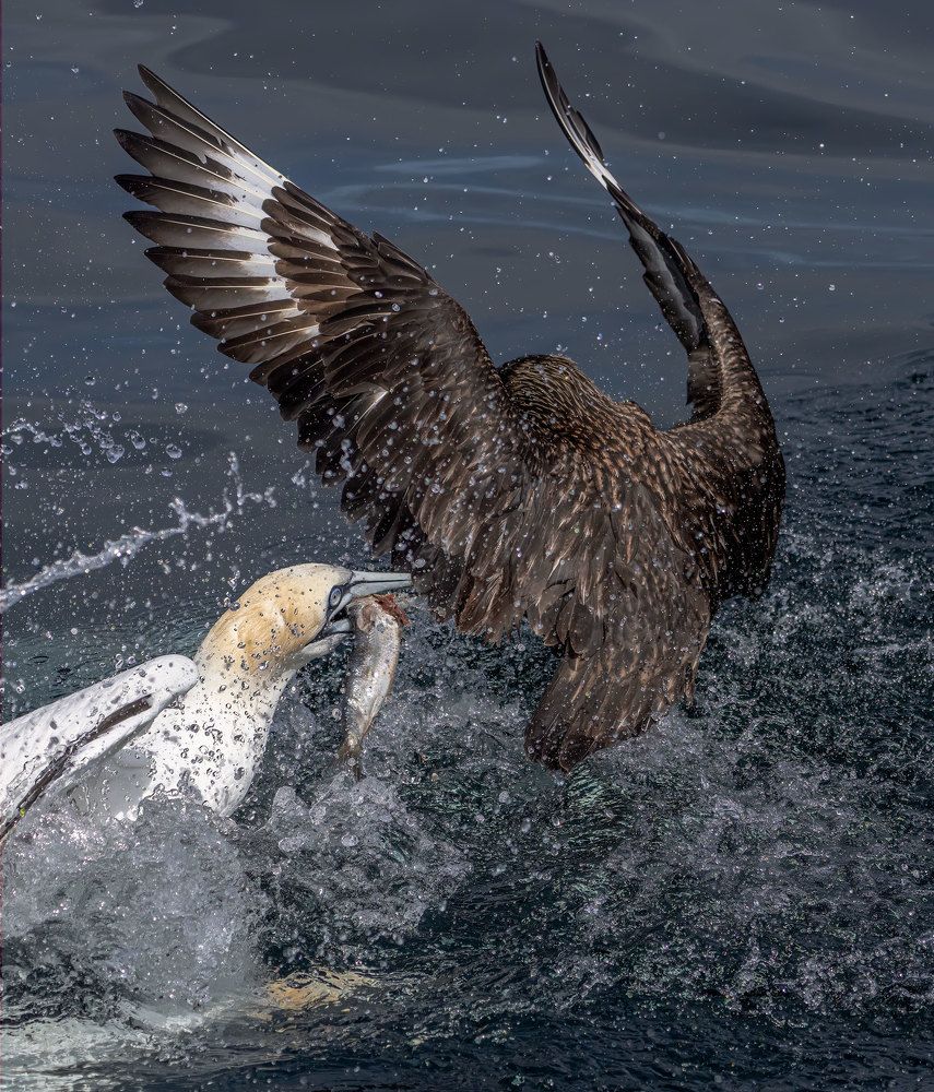 Фотография автора gagarin andrey