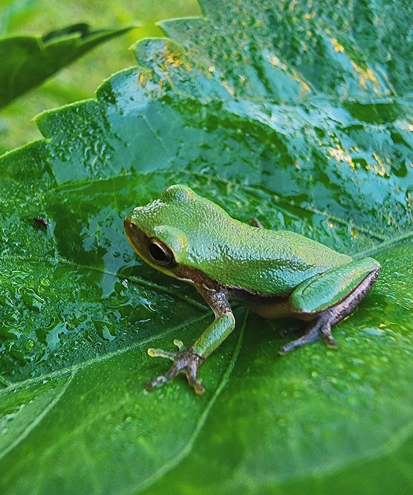 Фотография автора Jeff Cooley