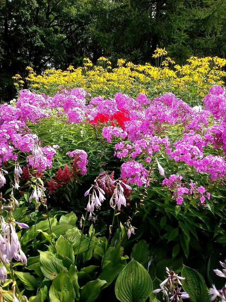 Photograph by Ольга Коркина