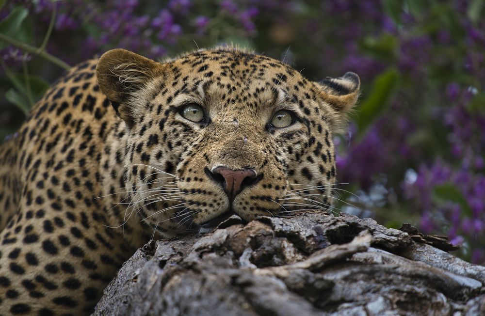 Photograph by Angie Birmingham