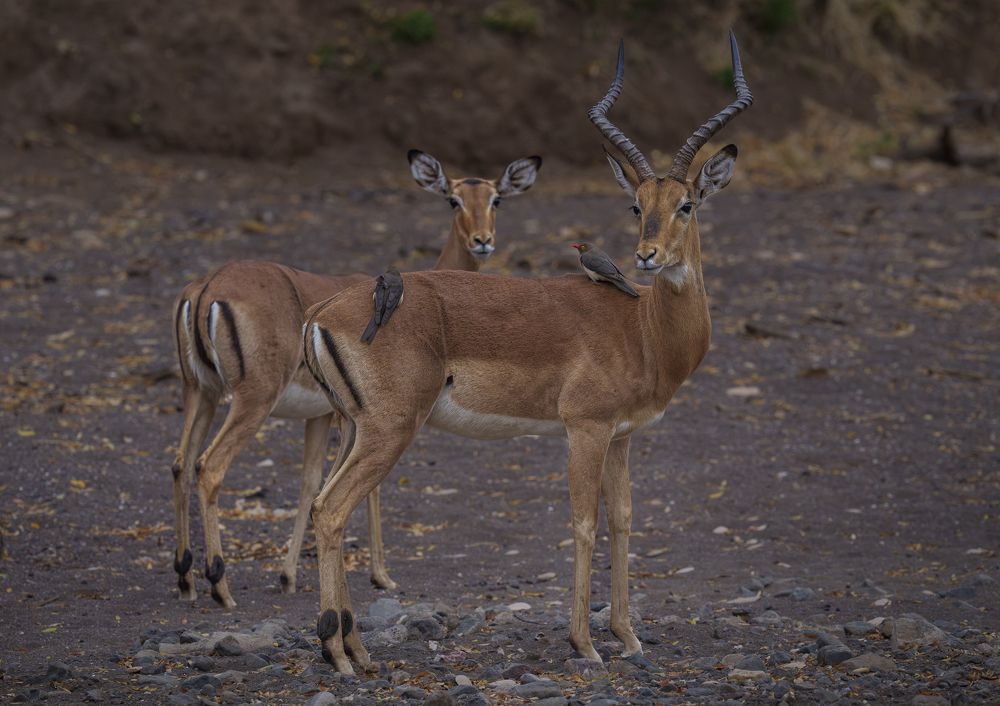 Photograph by Angie Birmingham