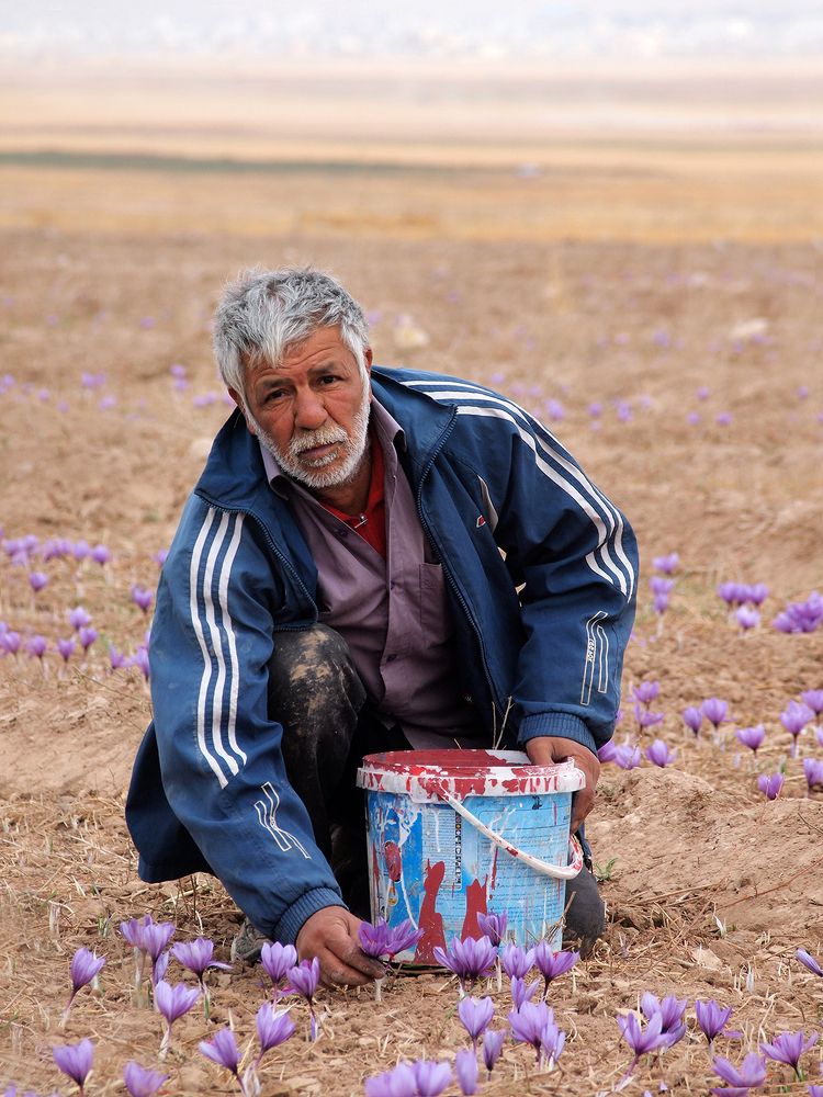 Photograph by Farid Ataei