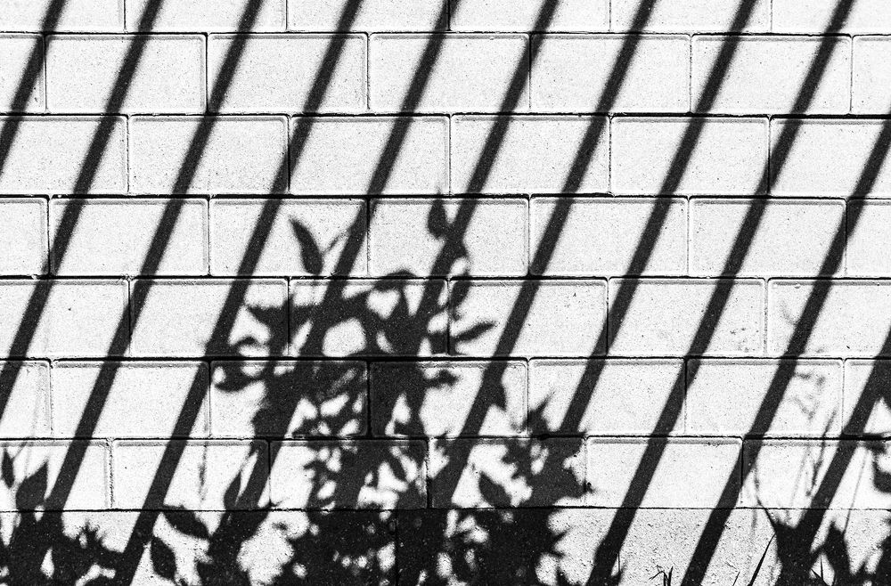 Photograph by Валерий Клейменов