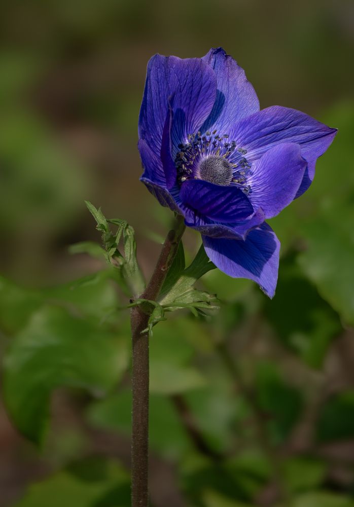 Photograph by Курлянцев Алексей