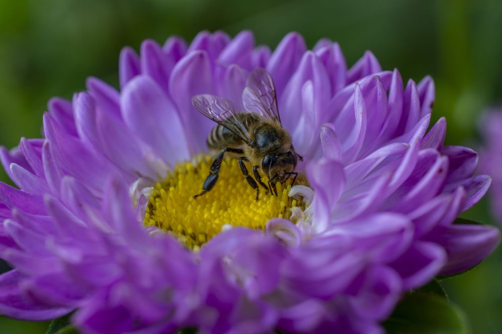 Photograph by Николай Лысцев