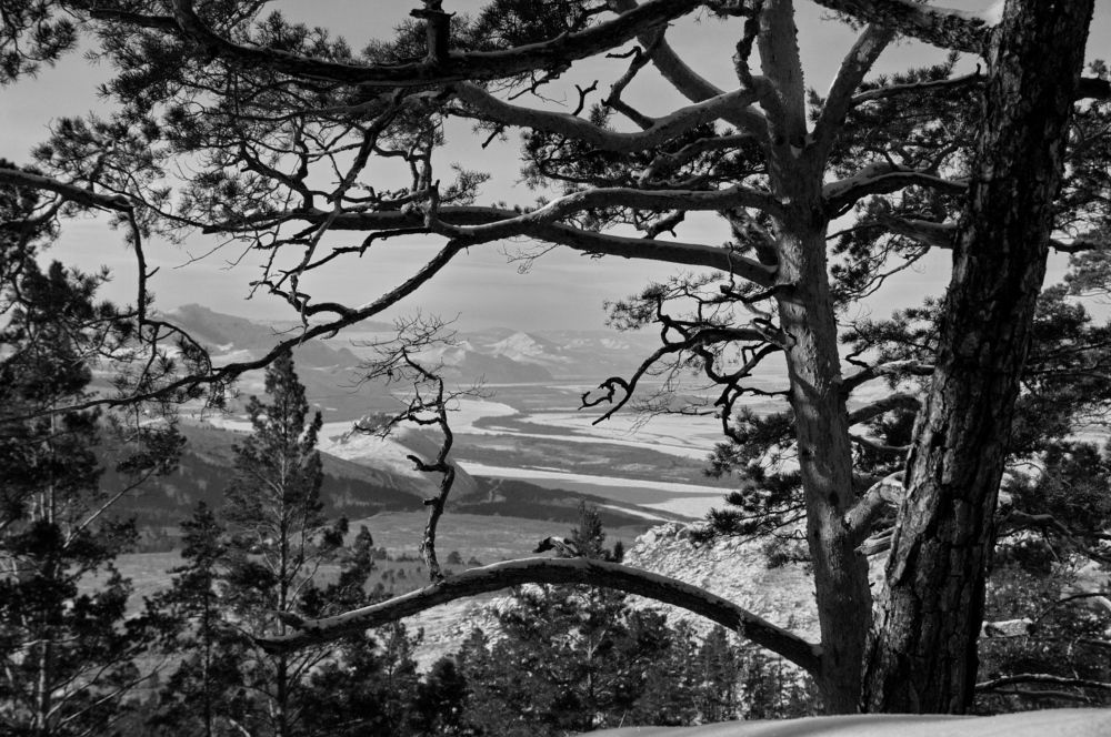 Фотография автора Андрей Ильков