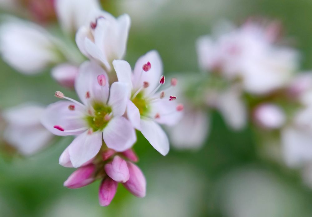 Photograph by Анна Евдокименко