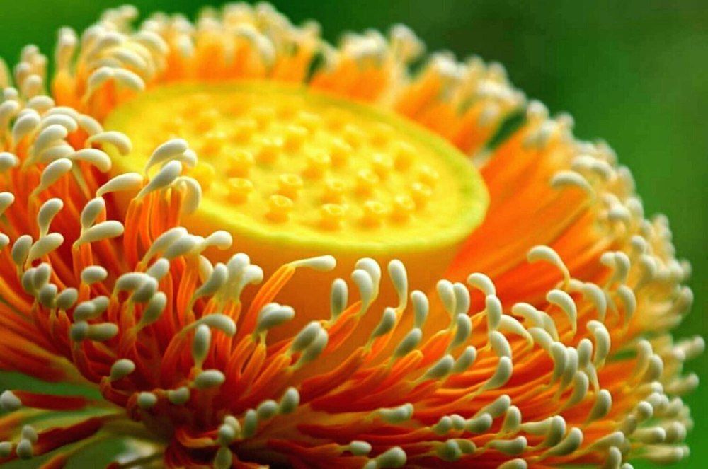 Photograph by Аркадий Горбунов