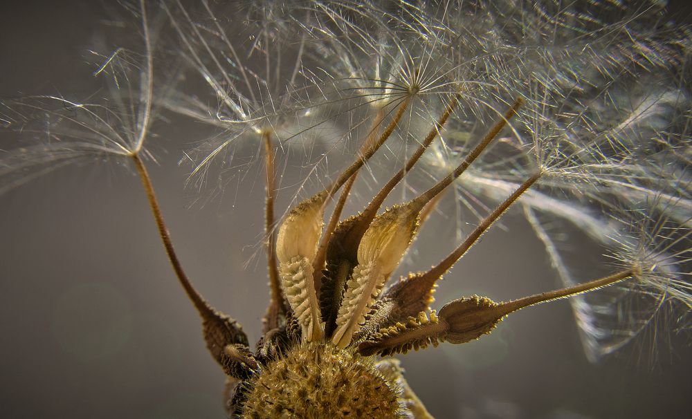 Фотография автора Boris Bekelman