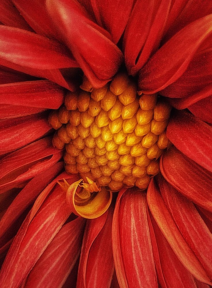 Photograph by Елена Иванова