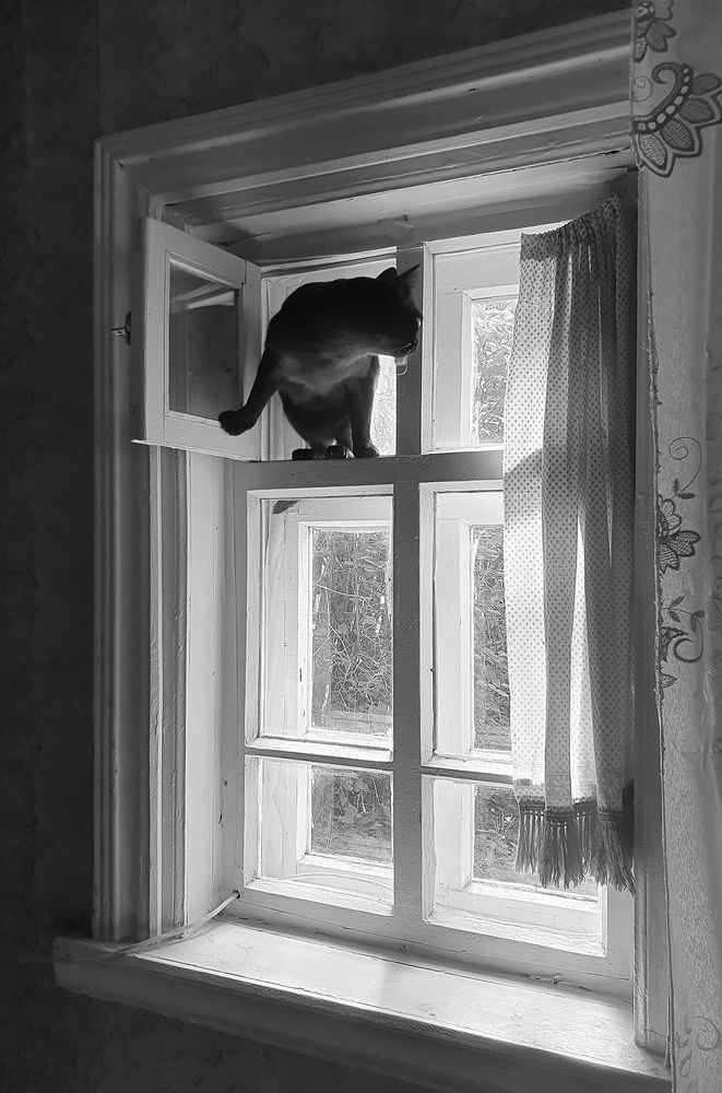 Фотография автора Надежда Лисицына