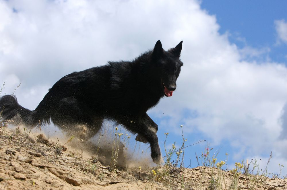 Фотография автора Надежда Лисицына