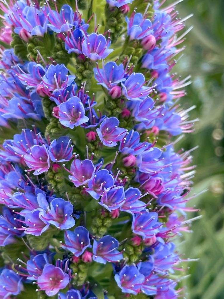 Photograph by Svetlana Garifullina