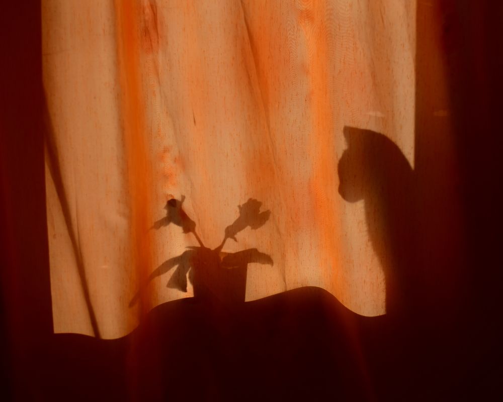 Photograph by Николай Абакумов