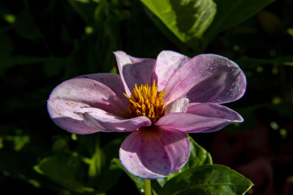 Photograph by Дмитрий Юдин