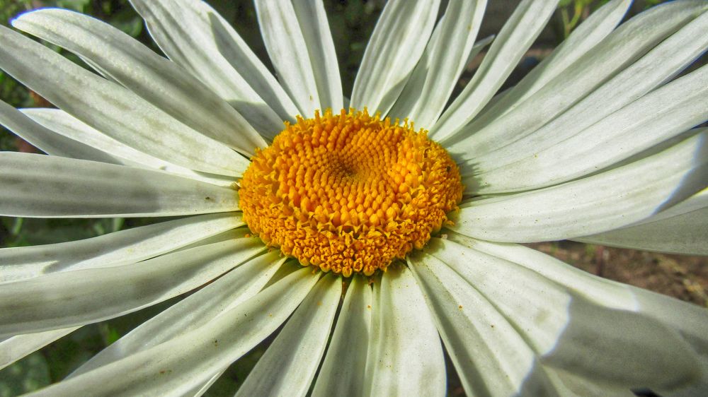 Фотография автора Валерий Цуркан