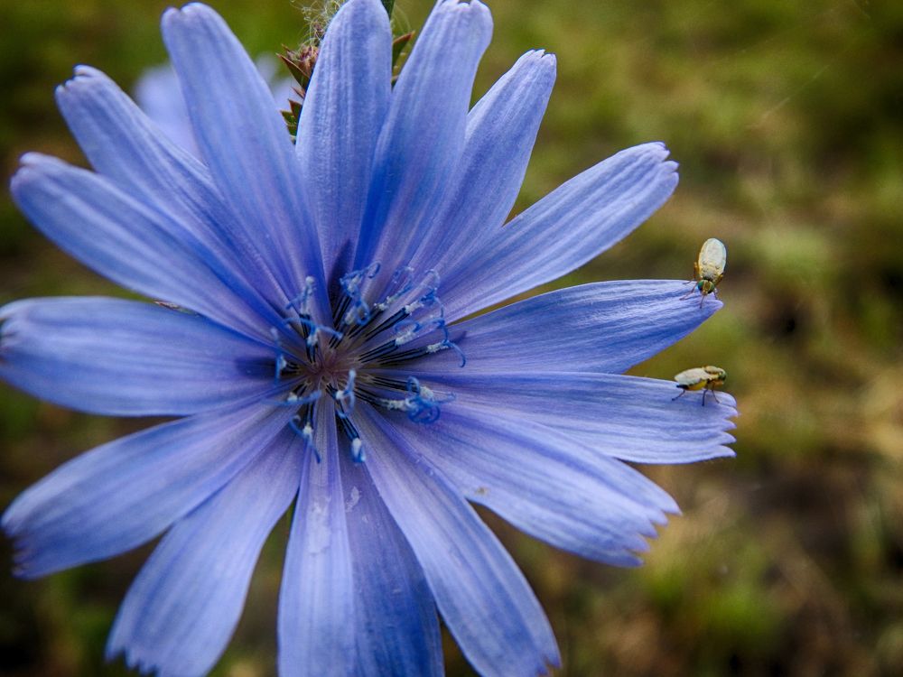 Фотография автора Валерий Цуркан