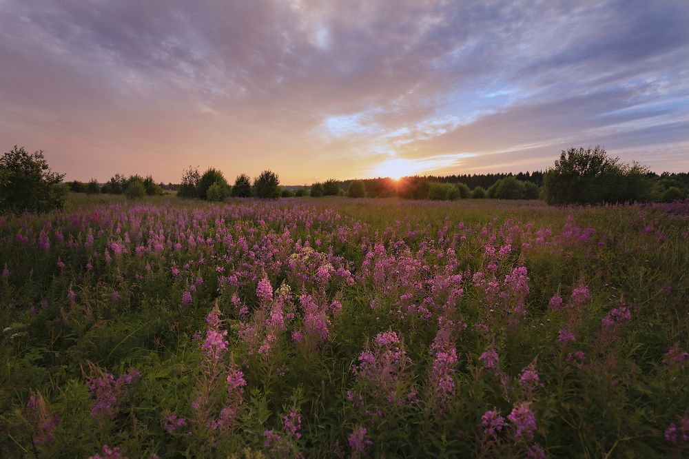 Фотография автора Галина