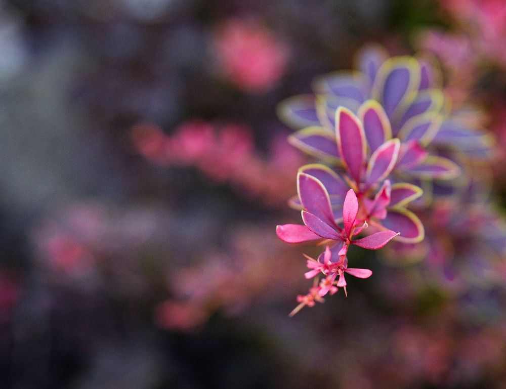 Photograph by Светлана Горчакова