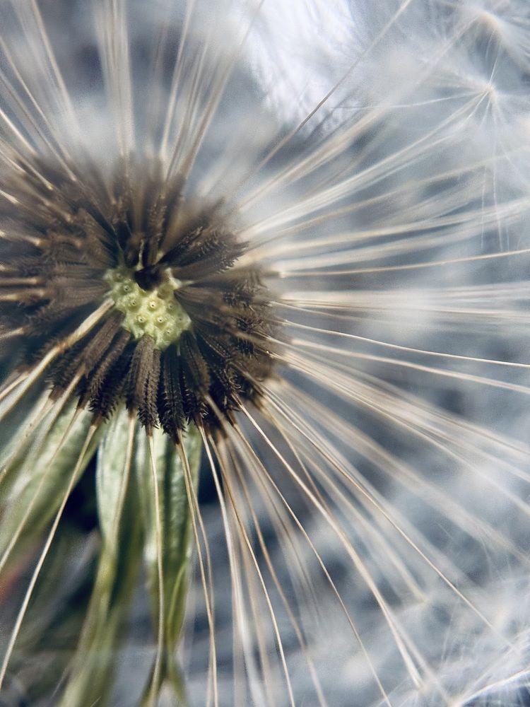 Фотография автора Александра Евченко