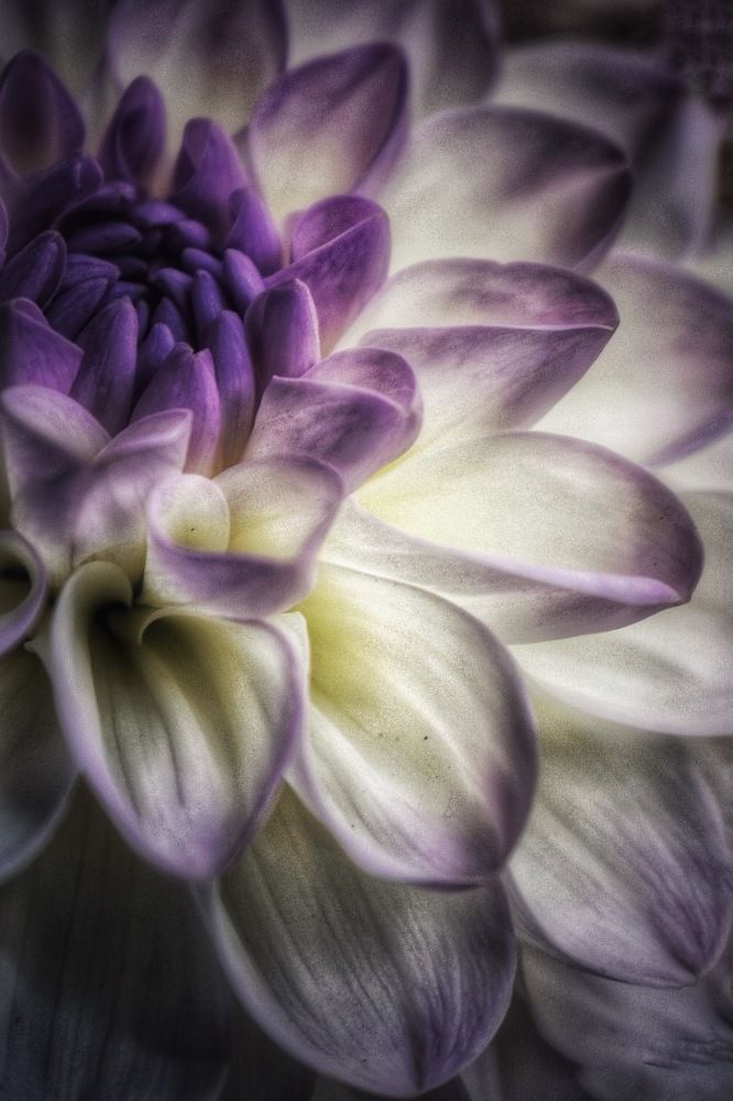 Photograph by Кира Бахвалова