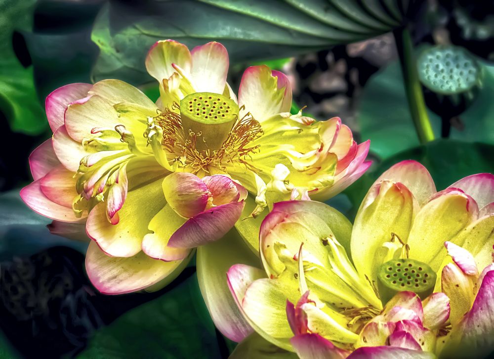 Photograph by Viviana García