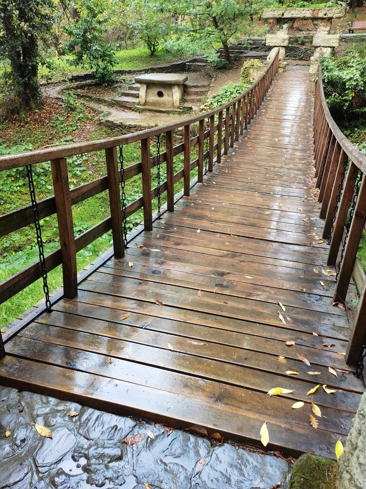 Фотография автора Елена Гордиевская