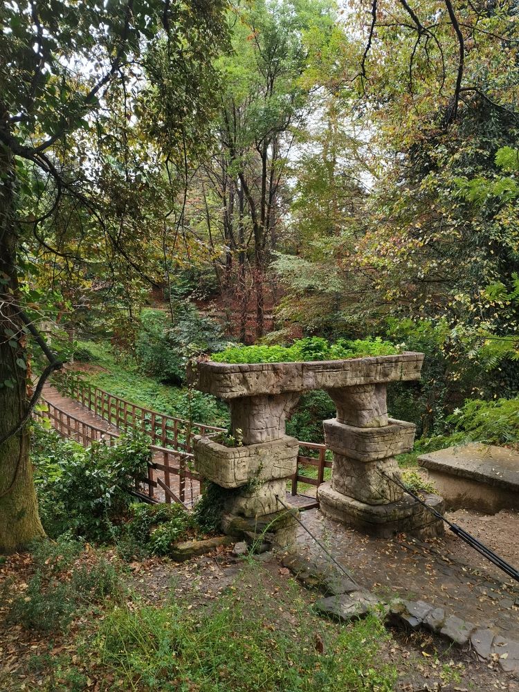 Фотография автора Елена Гордиевская