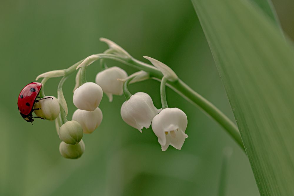 Photograph by Зайцев Роман