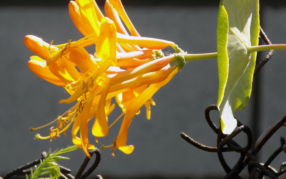 Photograph by Серега Вартман