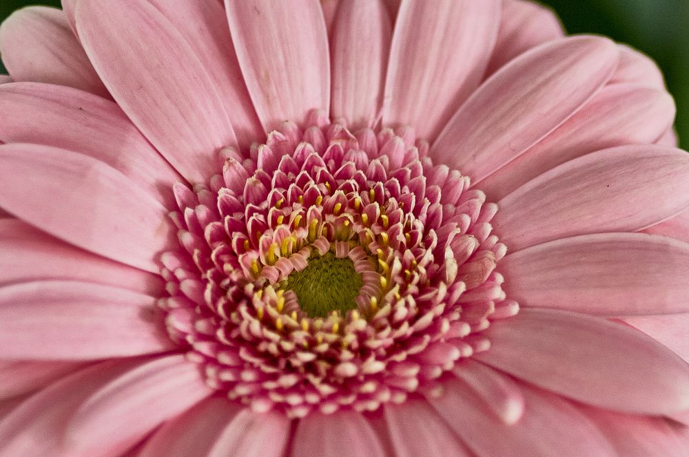 Photograph by Устинов Андрей