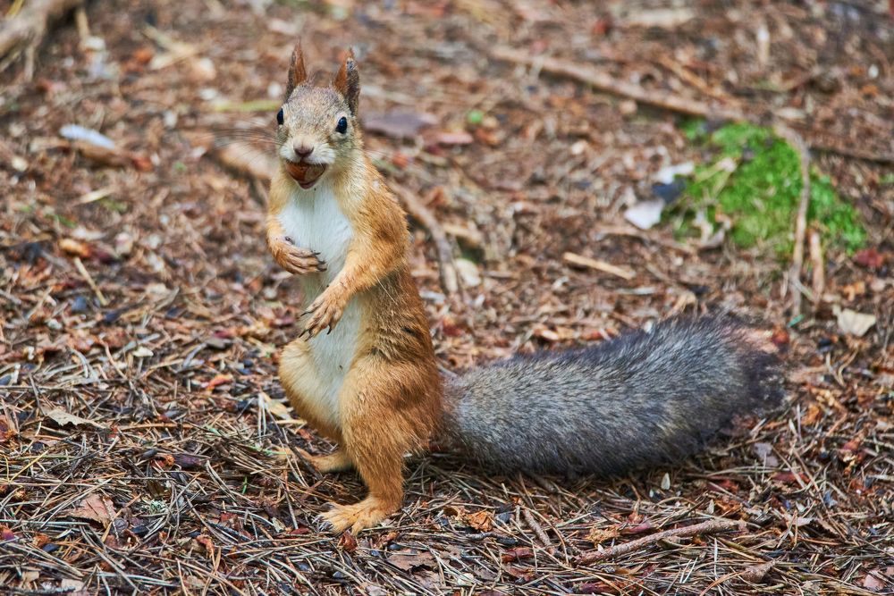 Photograph by Виктор Евстратов