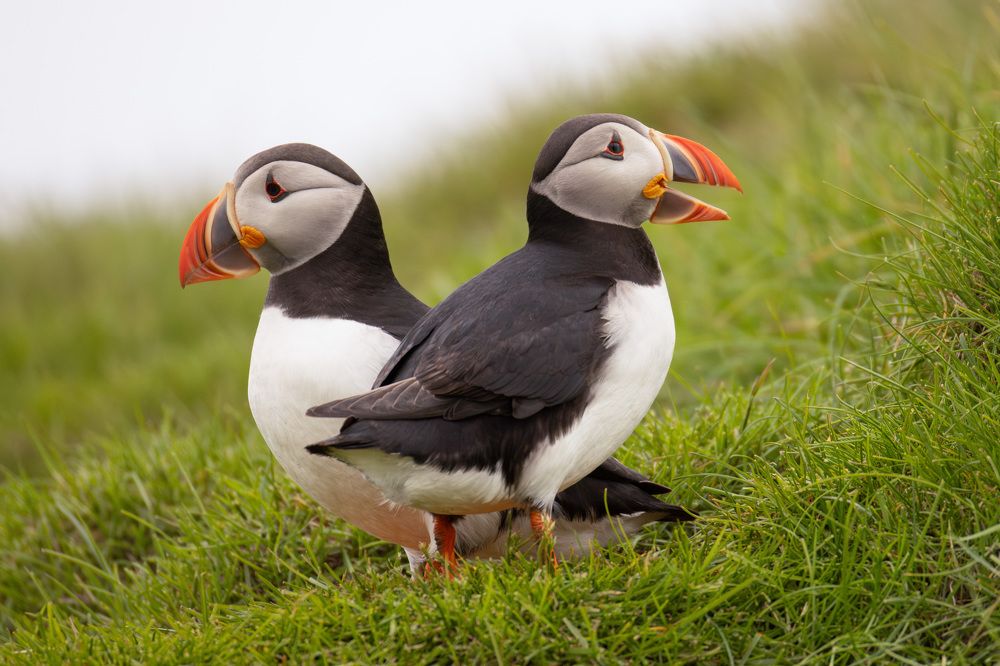 Photograph by Abhishek