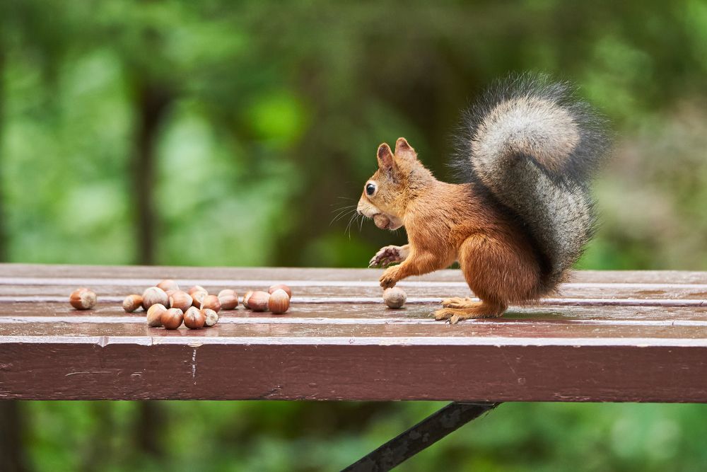 Photograph by Виктор Евстратов