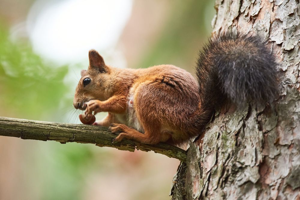 Photograph by Виктор Евстратов