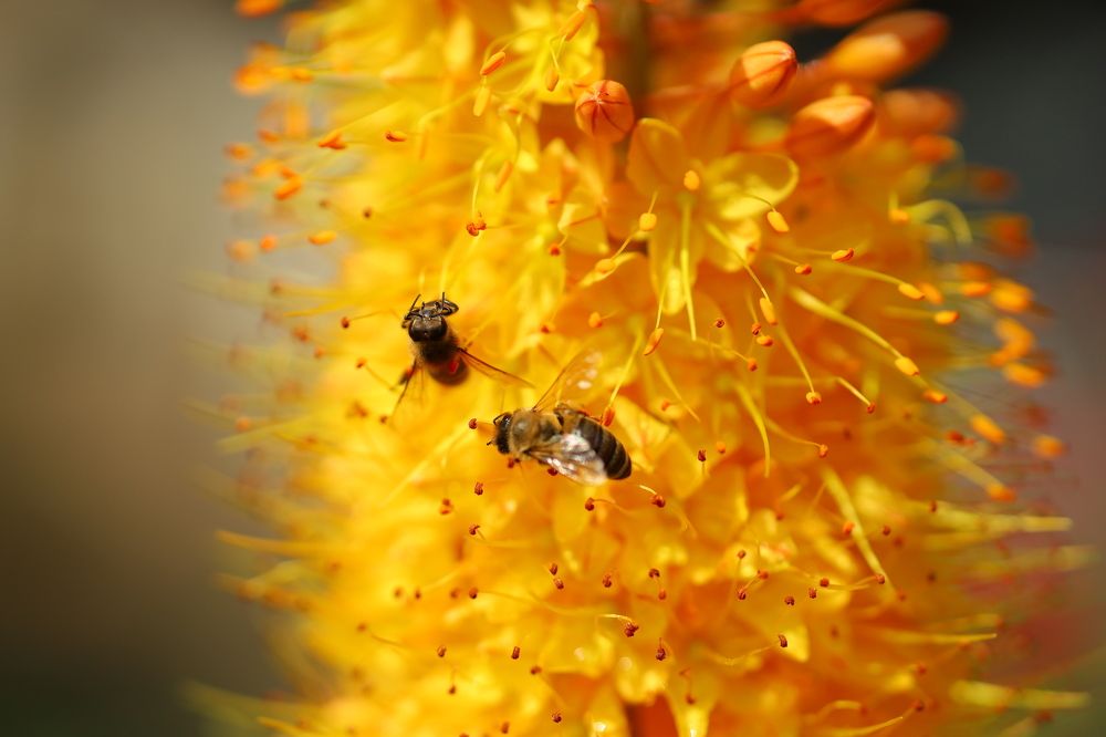 Фотография автора Мария Стратан