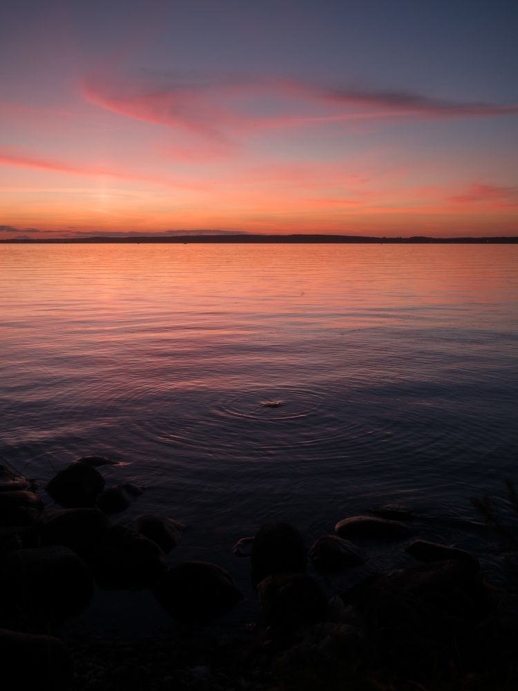 Адзін у моры камень