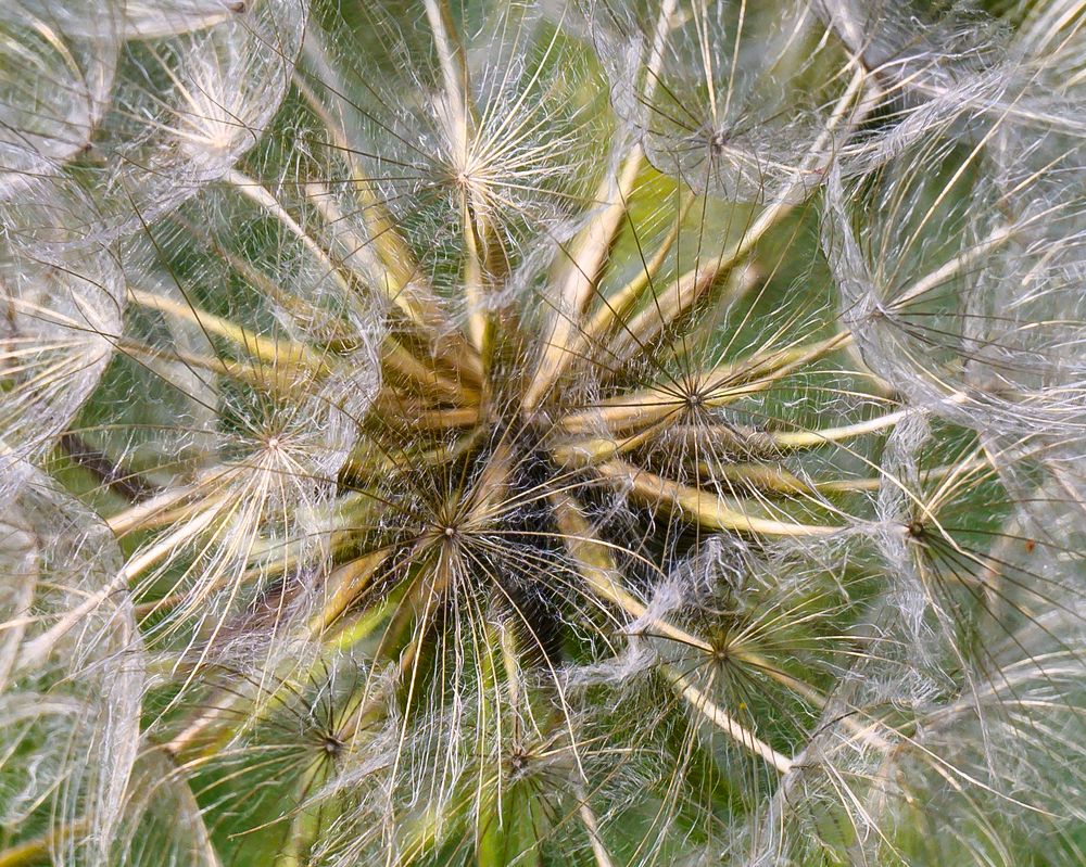 Photograph by Вячеслав Белов