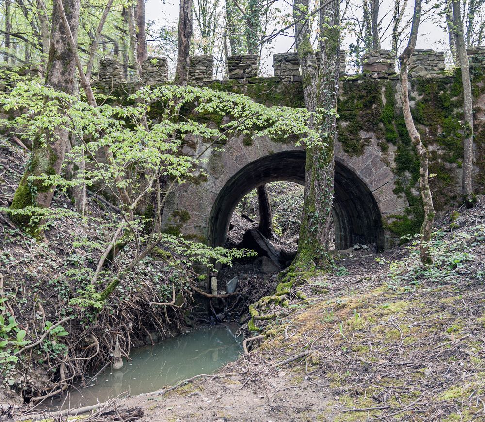 Photograph by Сергей Христинич