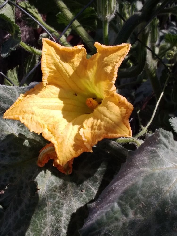 Photograph by Марта Васильева