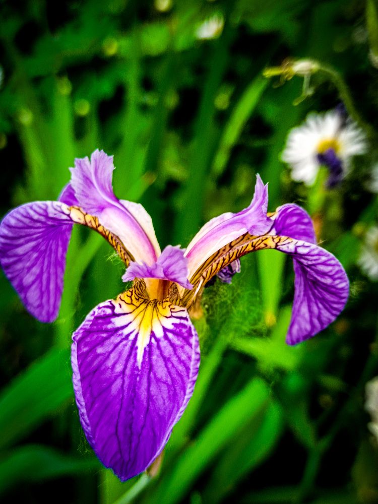 Photograph by Владимир Сушкин