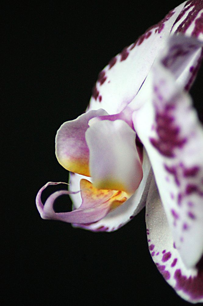 Photograph by Надежда Тарасенко