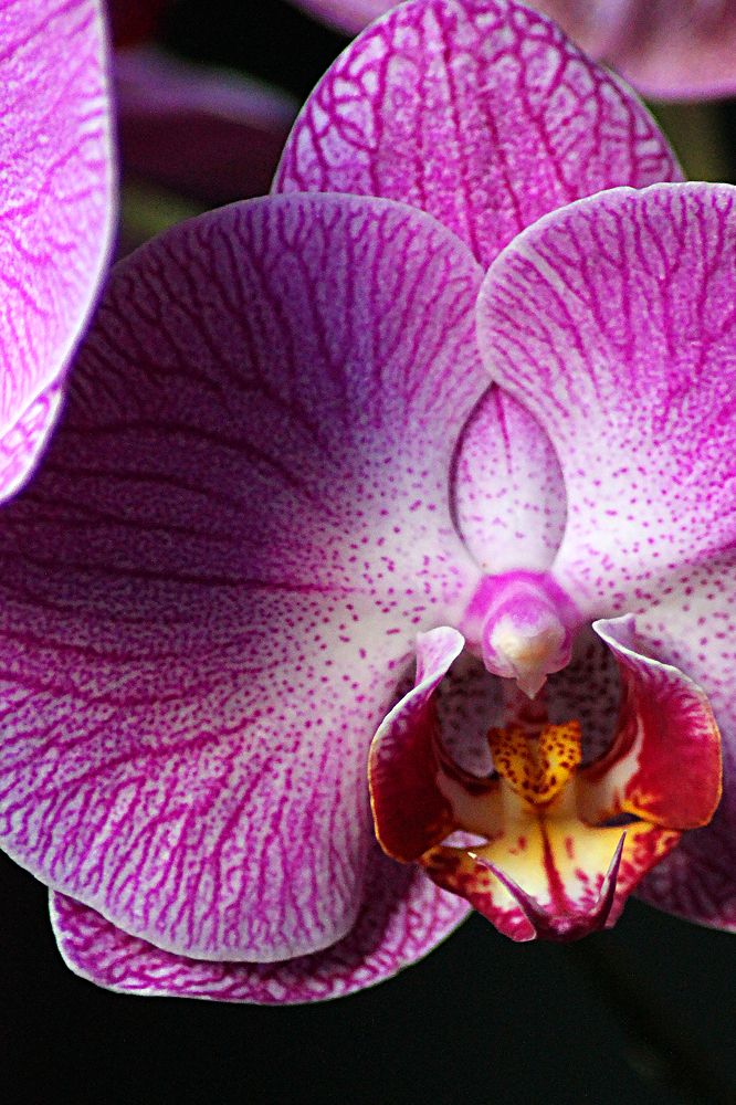 Photograph by Надежда Тарасенко