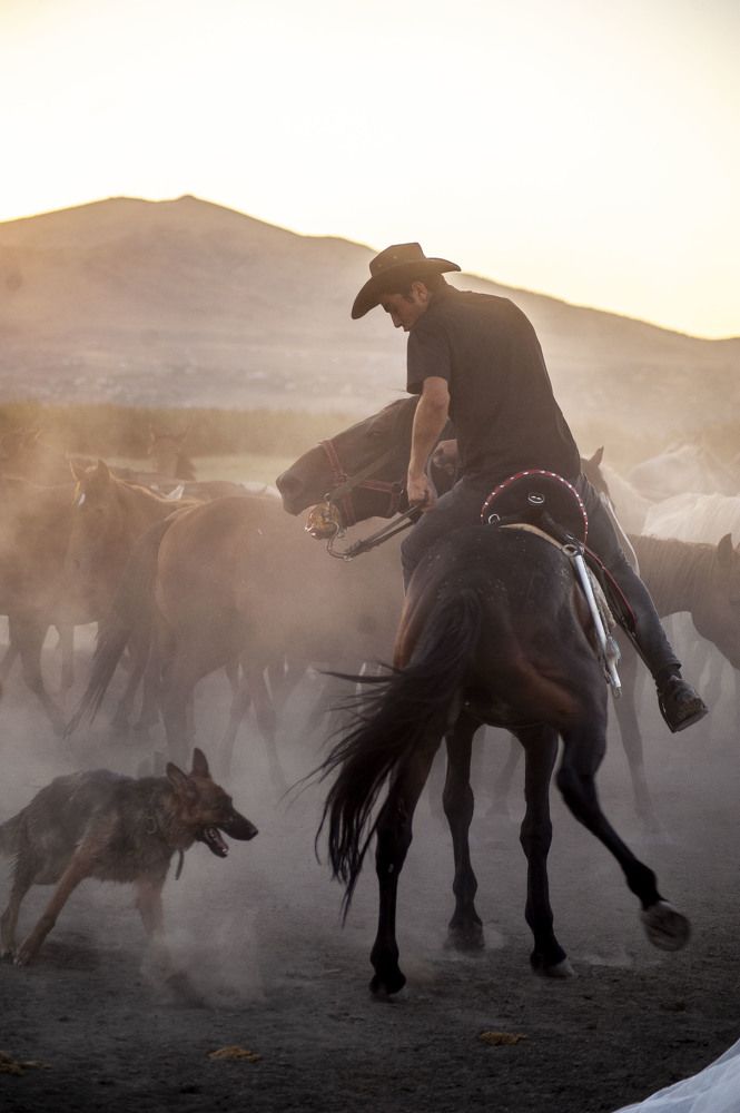 Photograph by DAMOUN POURNEMATI