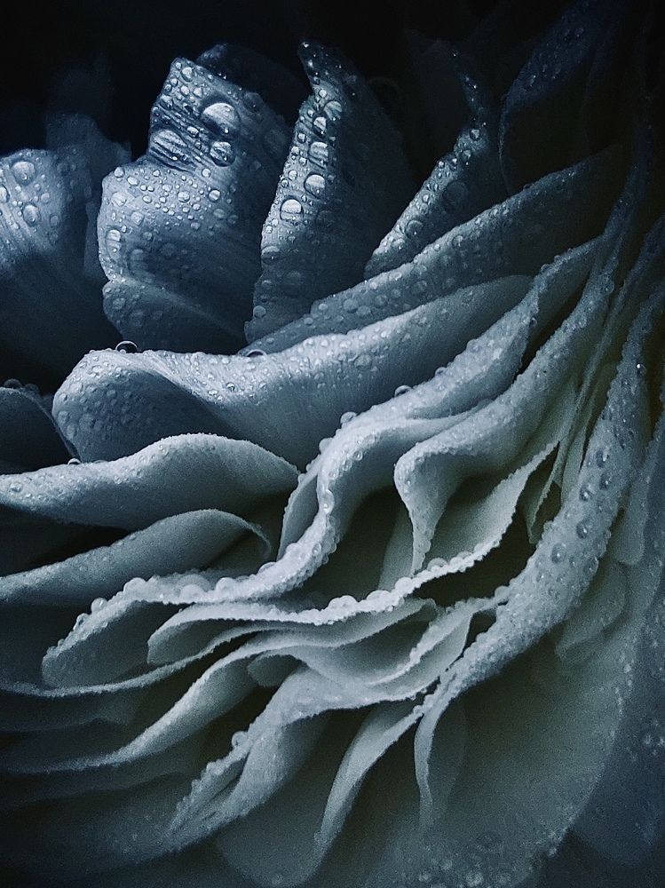 Photograph by Мария