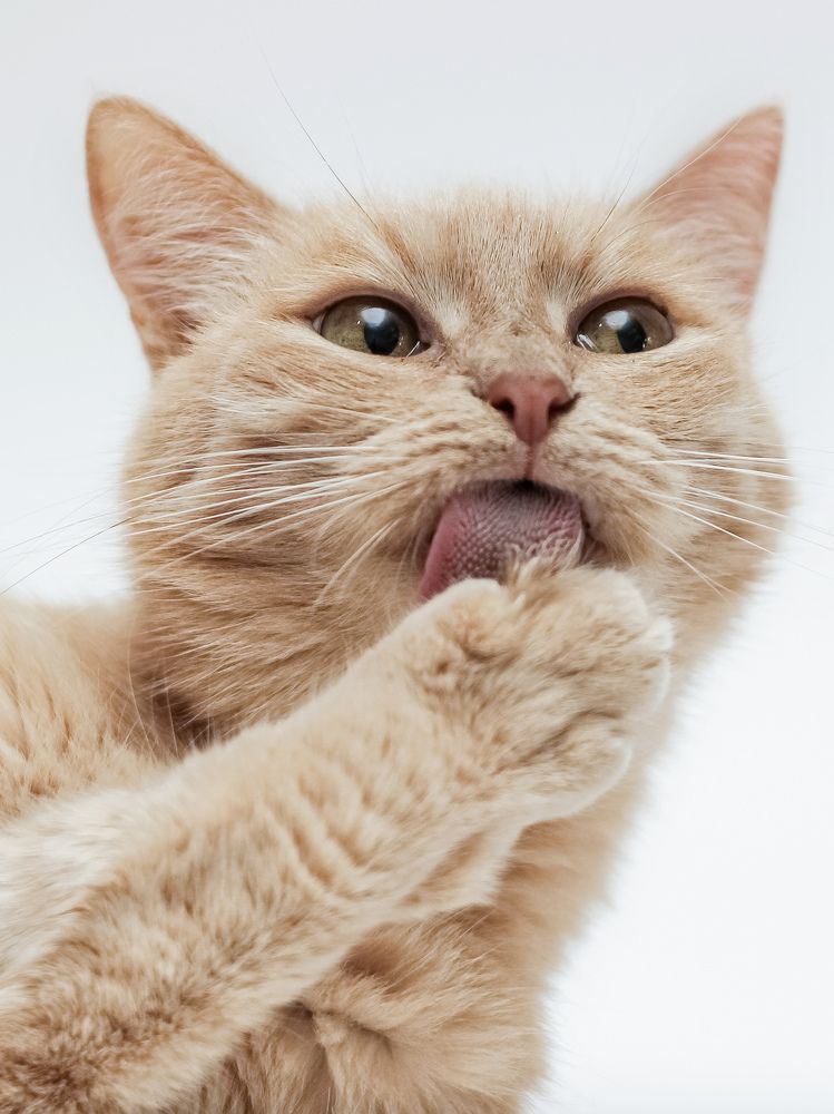 Фотография автора Евгения Никишина