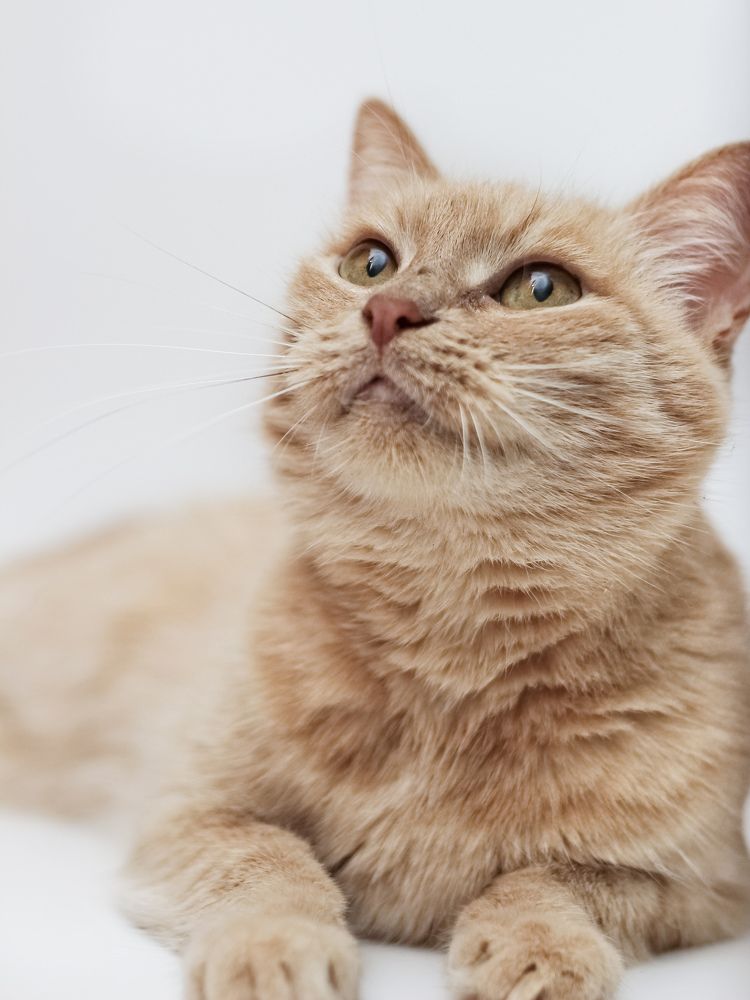 Фотография автора Евгения Никишина