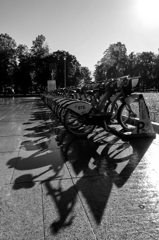 Photograph by Светлана Долгих