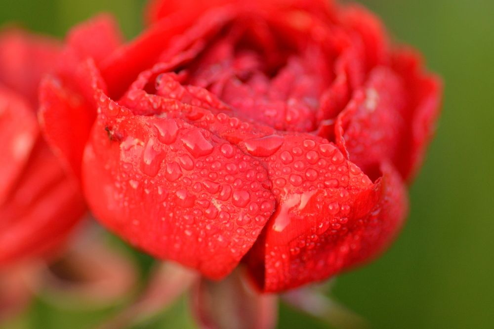 Photograph by esti lahat