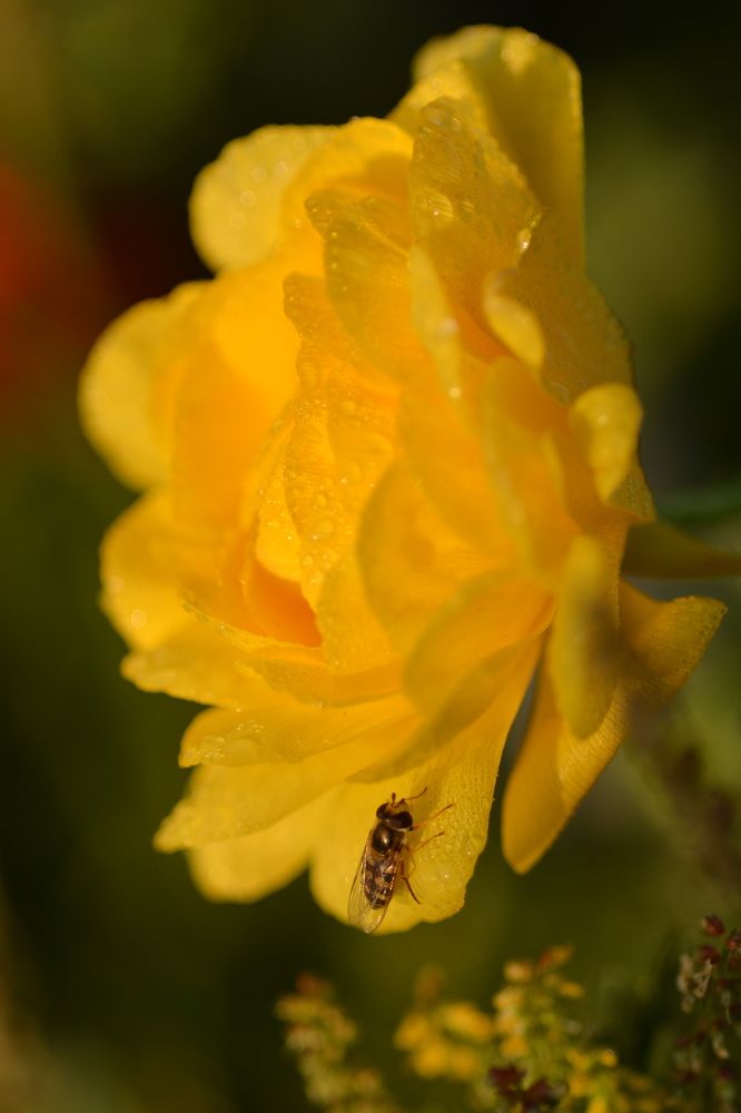 Photograph by esti lahat